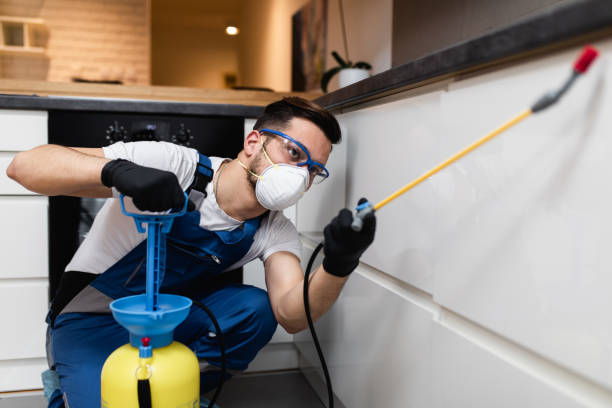 Best Emergency Pest Control  in Mount Pocono, PA