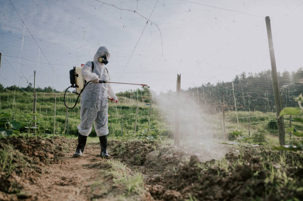 Pest Control Cost in Mount Pocono, PA