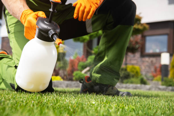 Best Commercial Pest Control Services  in Mount Pocono, PA
