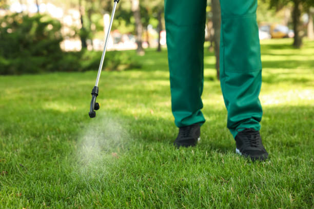 Best Exterminator Services  in Mount Pocono, PA